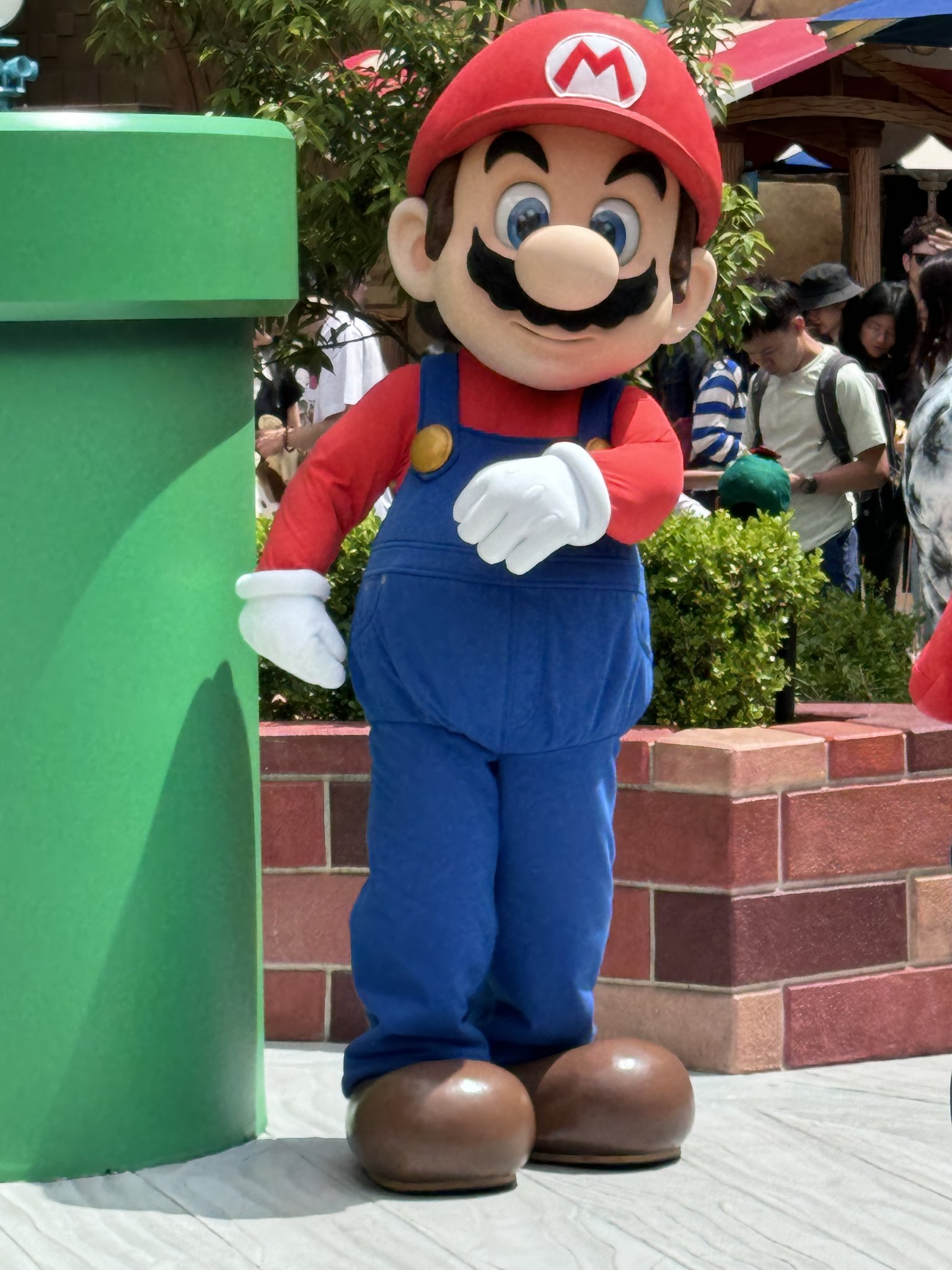 マリオ・マリオ